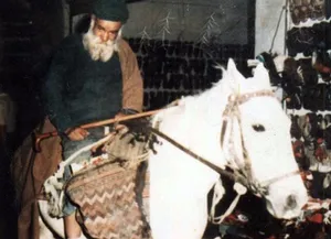 ماجرای منبر رفتن صمصام در مجلس ختم رضا خان/ دعای جالب بهلول اصفهانی برای اعلیحضرت! / کمک صمصام به مستمندان
