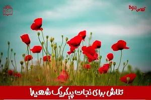 تلاش برای نجات پیکر یک شهید!