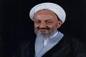 روزی که میانه به پا خواست/ ماجرای دستگیری آیت‌الله احمدی میانجی توسط عمال رژیم پهلوی/  تحصن مردم میانه در حمایت از روحانیت مبارز