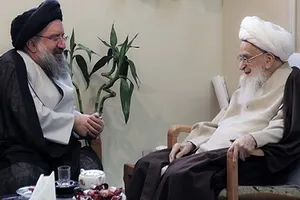 وقتی پیشنهاد آیت‌الله صافی گلپایگانی در قانون اساسی ماندگار شد